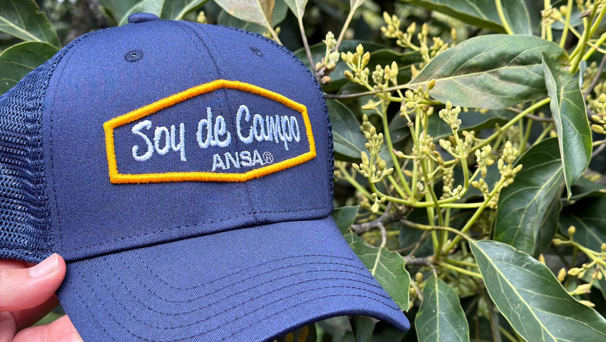 Gorra Soy de Campo de ANSA junto a un árbol de aguacate en flor