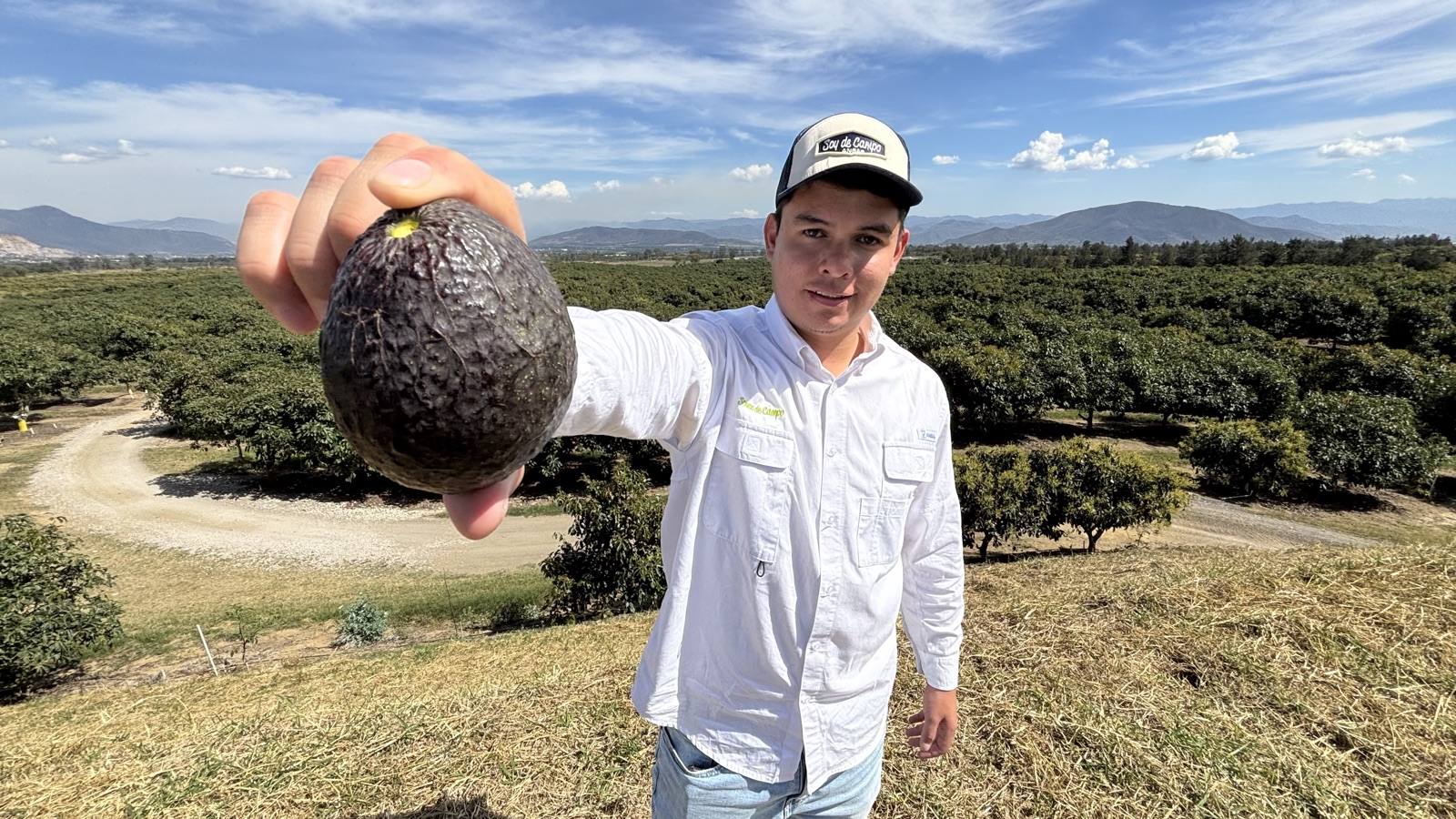 Asesor ANSA en campo