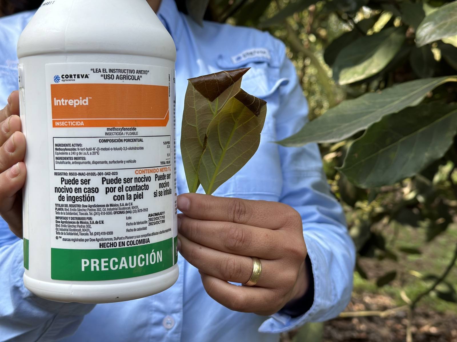 Intrepid - Insecticida Corteva