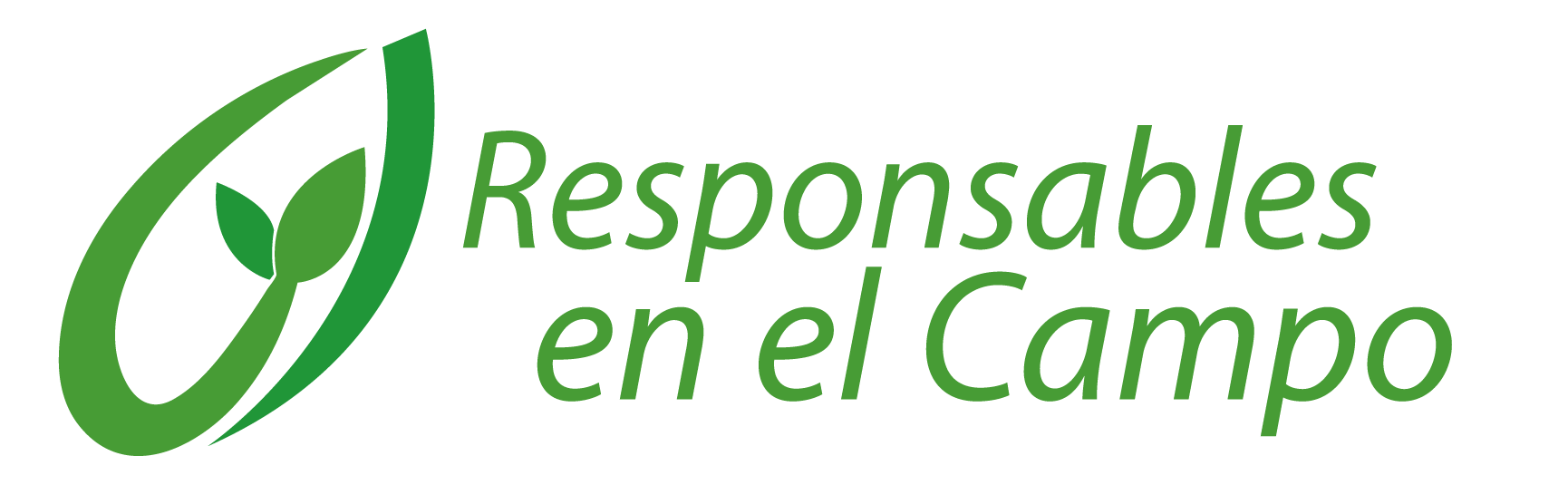 ANSA Responsable